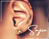 S! Gold Earrings ✘