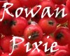 Rowan Pixie Skin