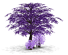 Purple trees