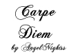 -AN- Carpe Diem (white)