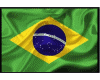 VAQUEIRO