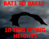 bat 10 flying positions