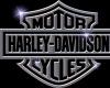Harley Davidson Backdrop