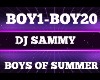 Boys of Summer DJ Sammy