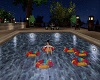 ~MD~Pool Floats