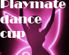 playmate dance cup