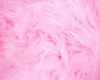 pink feathers background