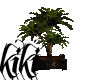 [kiki]palm plant 2