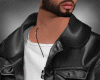 David bundle