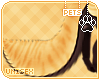 [Pets] Theo | tail v2