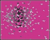 pink vlinder club 