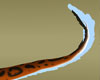 ~TN~Orange Lizard Tail
