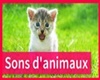 sons animaux