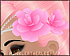 [PLL] Rose Pink Flower