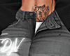 = Cargo LLT