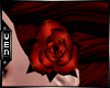 [Czz] Red Rose Clip
