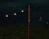 Magical Warm Fireflies