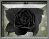 [PS] Black Rose Sticker