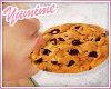 [Y] Chocolate Ch Cookie