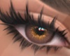 IS. Suni Honey Eyes