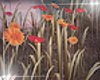 Flower Field