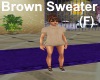 [BD] Brown Sweater(F)