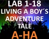 A-HA - Living A Boy´s