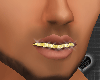 *Gold Grill