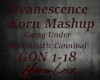 Evanescense/Korn Mash