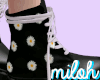 [;p] Laced boots"Daisy