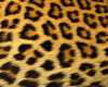 wild cat chair cheetah