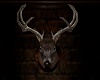 Buck Wild Deer Head