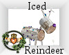 ~QI~ Iced Reindeer