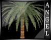 ~A~Palm tree Group *drv