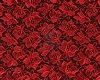 red rose master rob wedd