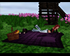 ~S~ Picnic for Two