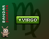 (BS) VIRGO sticker