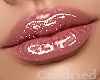 Perfect Lip Gloss