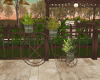 Sweet Cottage Plant Bike