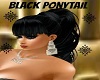 Black Ponytail