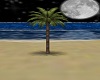 Beach Palm Tree V1