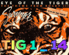 RMX SUP EYE OF THE TIGER