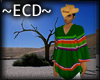 Mexican Poncho #4