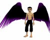 Blk/Purple Angel wings