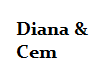 Diana & Cem *sticker*