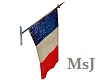 Old French Flag