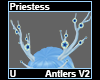 Priestess Antlers V2