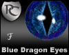 Blue dragon Eyes