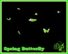 |DRB| Spring Butterfly