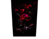 Dark Rose